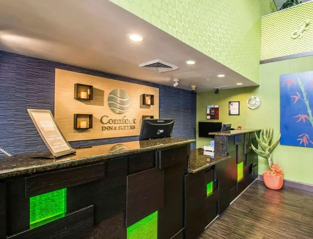 Comfort Inn & Suites Lantana - West Palm Beach South hotel detail image 2