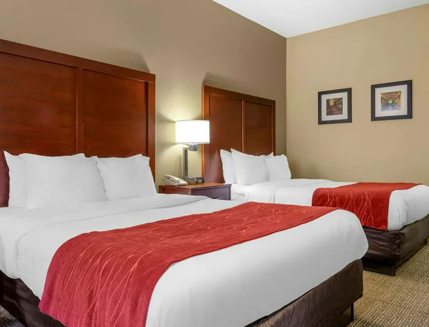Comfort Inn Duncansville - Altoona hotel detail image 3