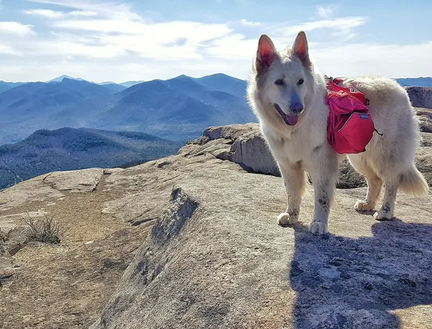 Grand Adirondack Hotel, Lake Placid, a Tribute Portfolio Hotel hotel detail image 2