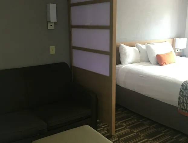 Microtel Inn & Suites by Wyndham Florence hotel detail image 3