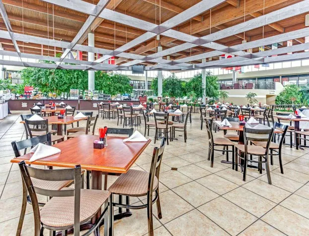 Wyndham Garden Romulus Detroit Metro Airport hotel detail image 4