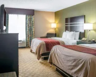 Comfort Inn & Suites Maumee - Toledo (I80-90) hotel detail image 4