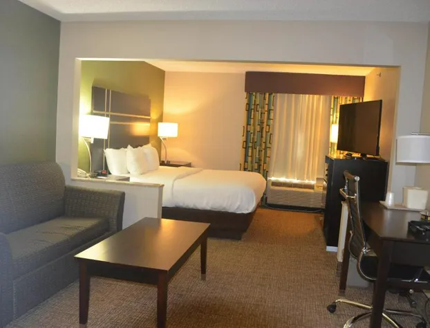 Comfort Inn & Suites Maumee - Toledo (I80-90) hotel detail image 4