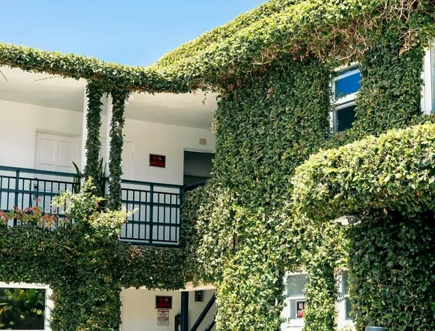 Laguna Cove Hotel hotel detail image 3