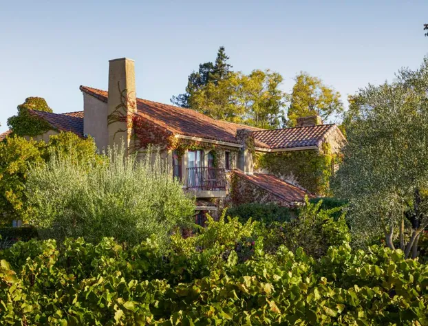 Vinarosa Resort & Spa hotel detail image 1