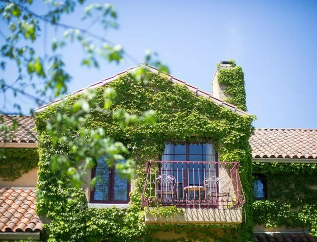 Vinarosa Resort & Spa hotel detail image 3