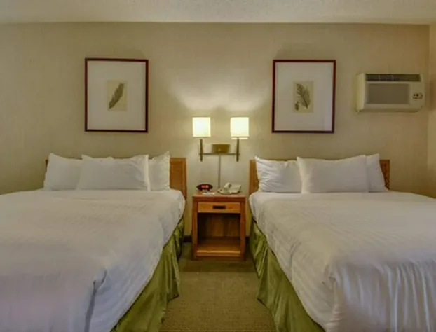 Vagabond Inn Los Angeles at USC hotel detail image 3