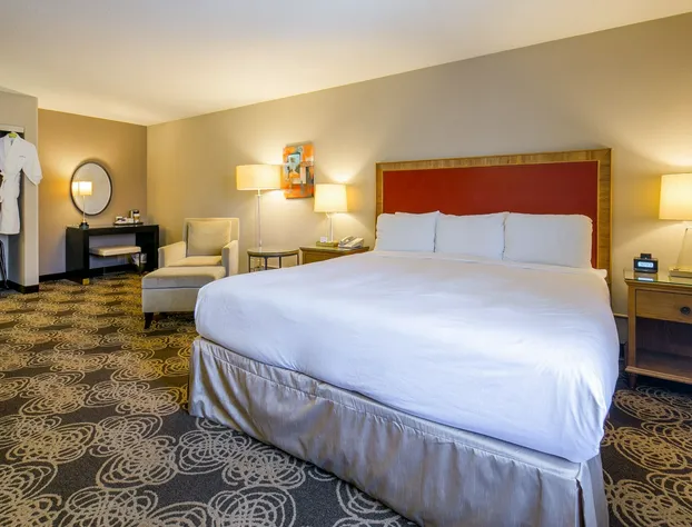 Hotel San Diego-Rancho Bernardo hotel detail image 1