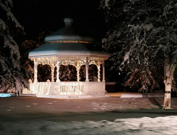 Wedgewood Resort hotel detail image 3