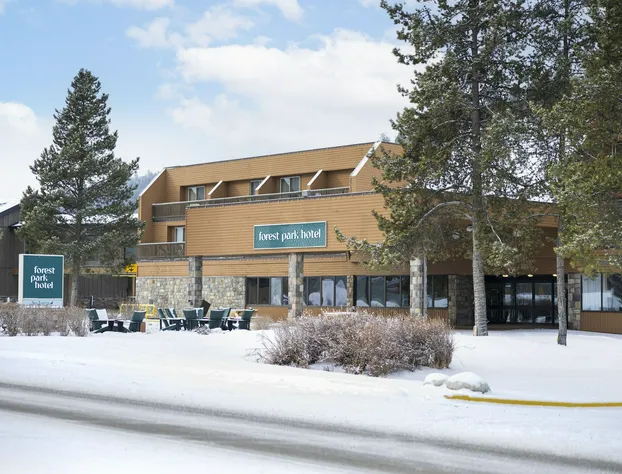 Forest Park Hotel hotel detail image 1