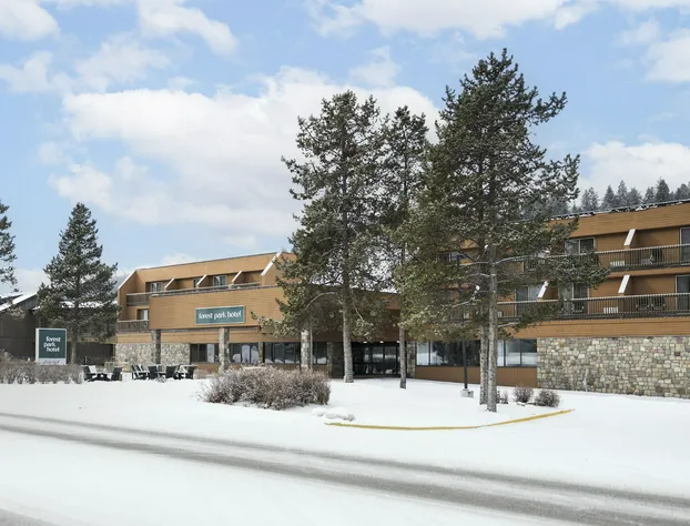 Forest Park Hotel hotel detail image 3