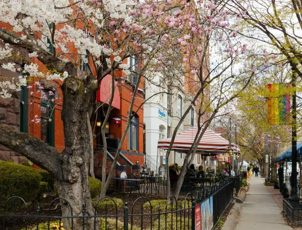 Dupont Circle Embassy Inn by FOUND hotel detail image 4