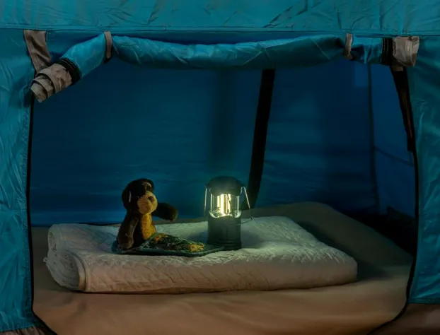 Acadia Inn hotel detail image 3