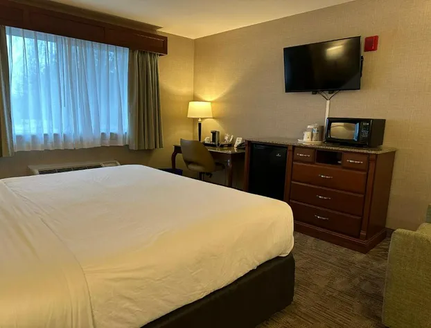 Medallion Inn & Suites hotel detail image 3