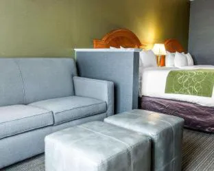 Comfort Suites Southgate-Detroit hotel detail image 3