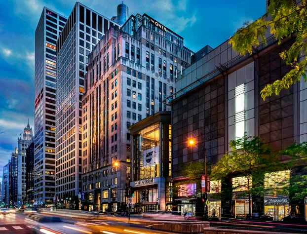 The Gwen, a Luxury Collection Hotel, Michigan Avenue Chicago hotel detail image 2