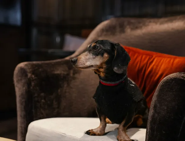 The Talbott, Autograph Collection hotel detail image 4