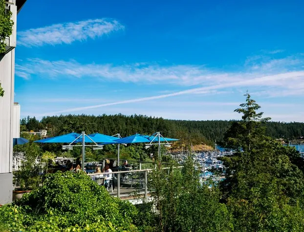 Friday Harbor House hotel detail image 4
