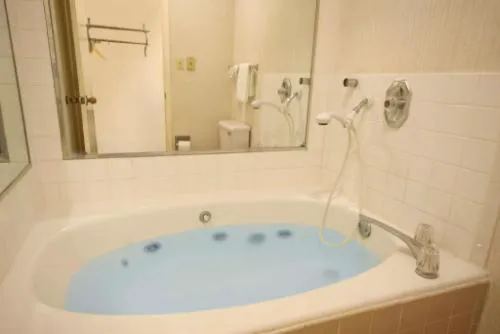 Econo Lodge Mobile Airport Blvd. hotel detail image 2