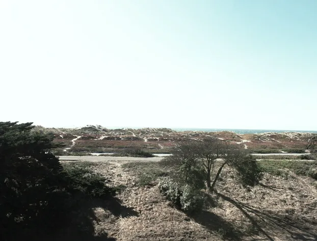 Motel 6 San Francisco, CA – Great Highway hotel detail image 1