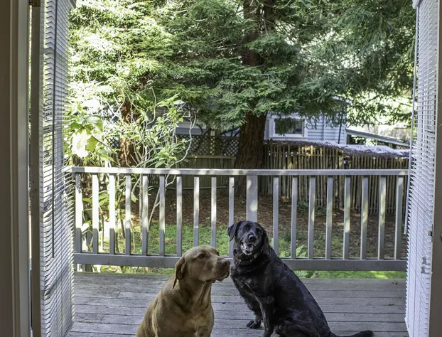 The Inn at Schoolhouse Creek hotel detail image 4