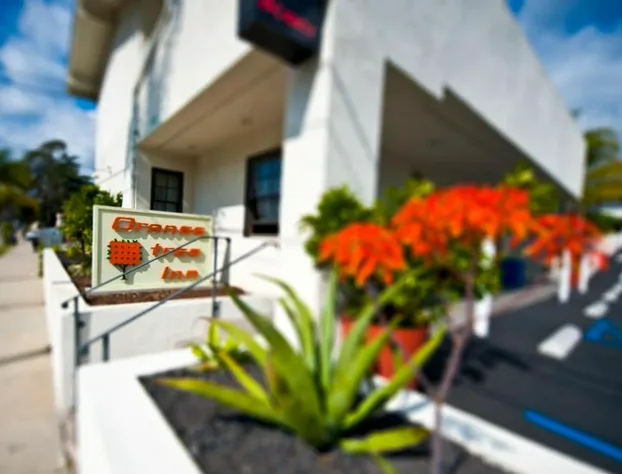 Orange Tree Inn hotel detail image 3