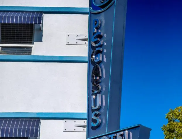 Pegasus International Hotel hotel detail image 1