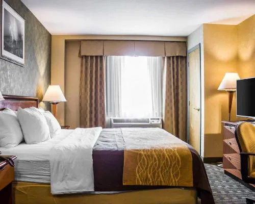 Comfort Inn Brooklyn hotel detail image 2