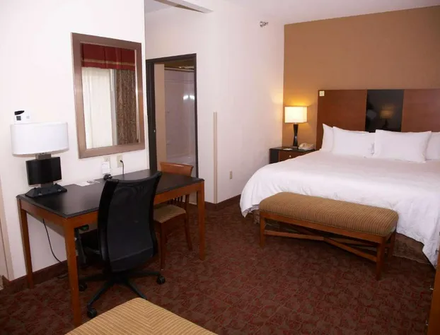 Hampton Inn and Suites Hobbs hotel detail image 2