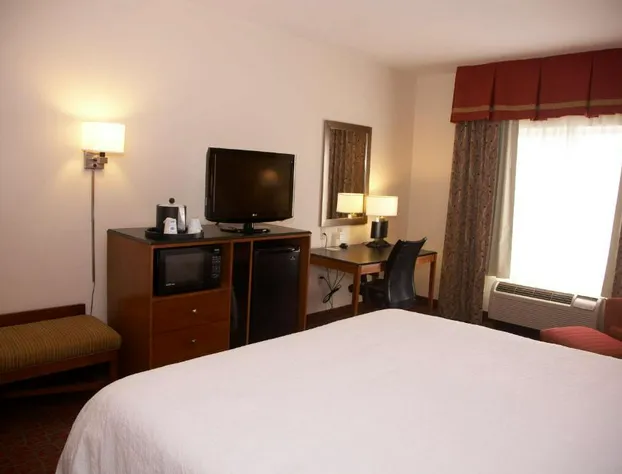 Hampton Inn and Suites Hobbs hotel detail image 3
