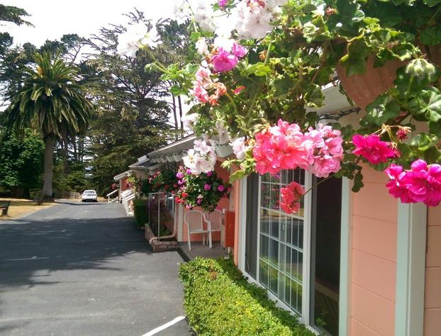 Butterfly Grove Inn hotel detail image 3