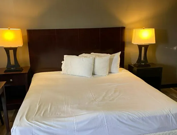 Tourist Inn hotel detail image 4