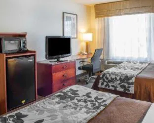 Wingate by Wyndham Dublin Near Claytor Lake State Park hotel detail image 2