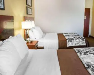 Wingate by Wyndham Dublin Near Claytor Lake State Park hotel detail image 2