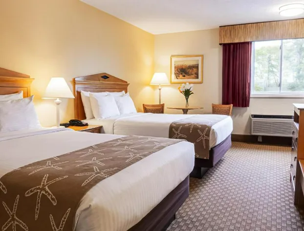 Bayside Resort Hotel hotel detail image 3