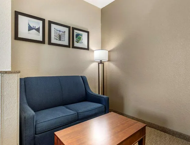 Comfort Suites Waco Near University Area hotel detail image 4