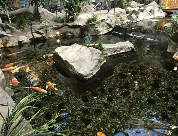 C'mon Inn Billings hotel detail image 4