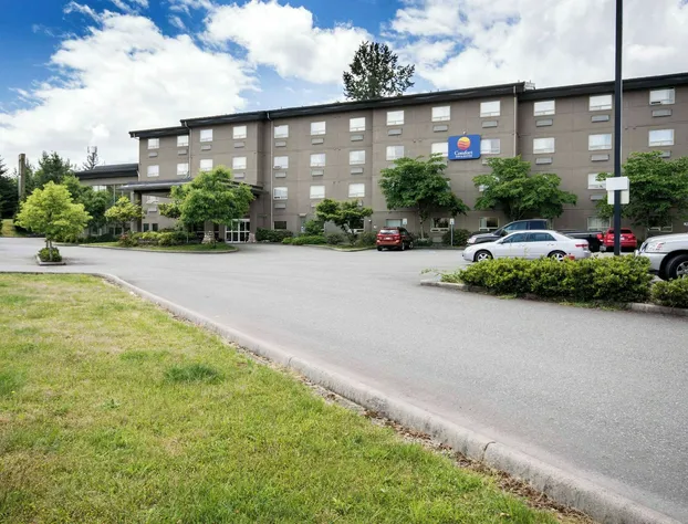 Comfort Inn & Suites hotel detail image 2