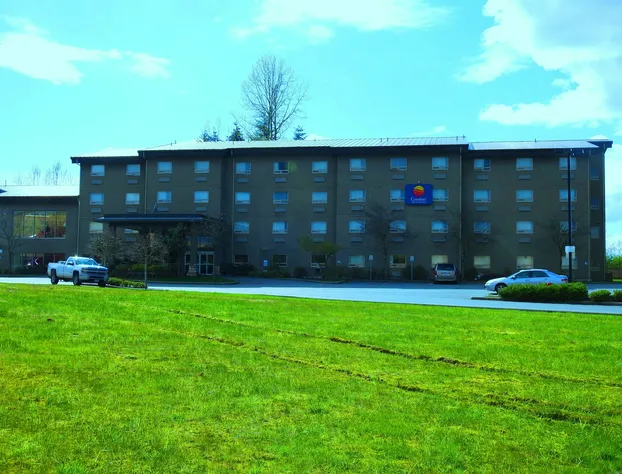 Comfort Inn & Suites hotel detail image 3