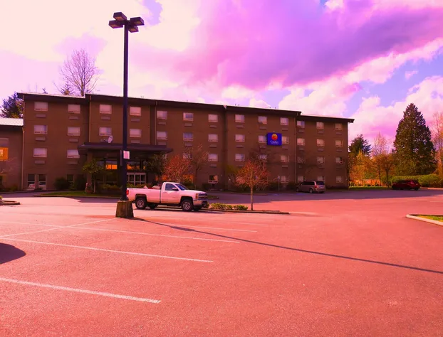 Comfort Inn & Suites hotel detail image 4