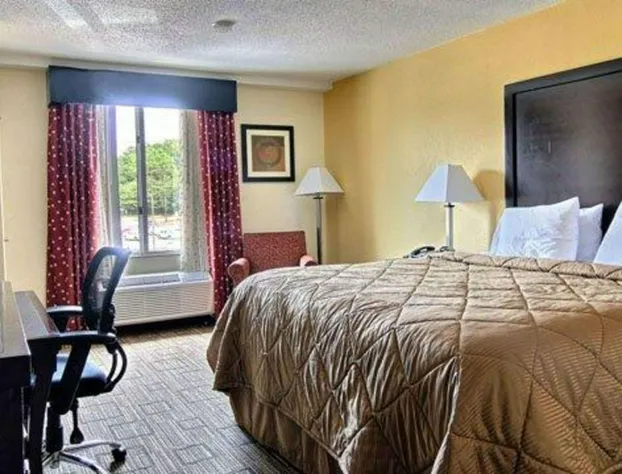 Quality Inn & Suites Greenville near downtown hotel detail image 3