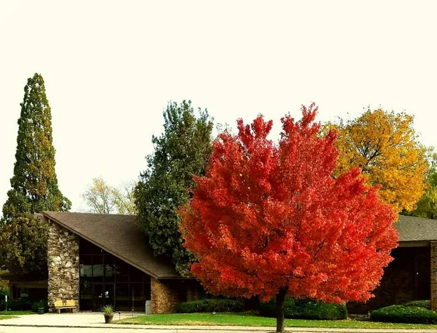 Riverbank Lodge hotel detail image 3