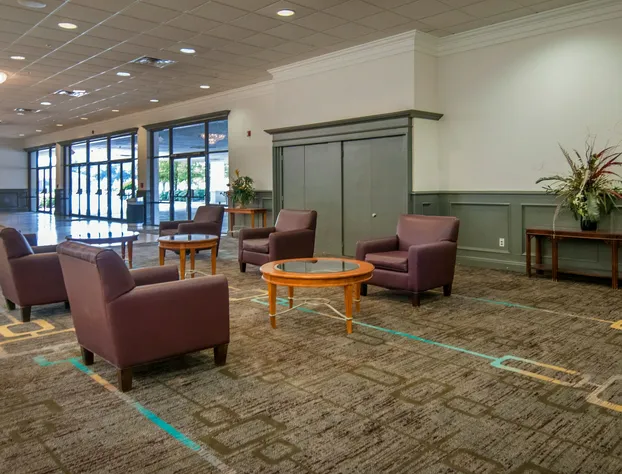 Four Points by Sheraton Alexandria hotel detail image 4