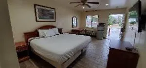 Alamo Inn & Suites- Downtown hotel detail image 3