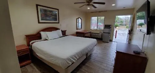 Alamo Inn & Suites- Downtown hotel detail image 4