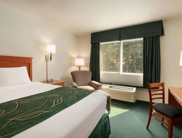 Travelodge by Wyndham Dunsmuir hotel detail image 3