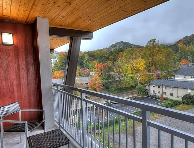 Courtyard by Marriott Gatlinburg Downtown hotel detail image 4