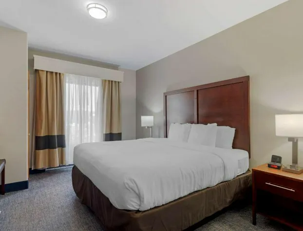 Comfort Suites Stockbridge Atlanta South hotel detail image 3