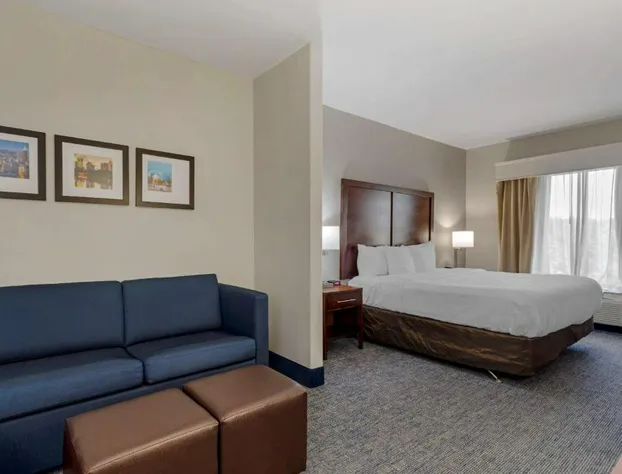 Comfort Suites Stockbridge Atlanta South hotel detail image 4