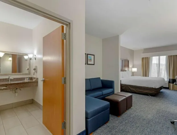 Comfort Suites Stockbridge Atlanta South hotel detail image 3